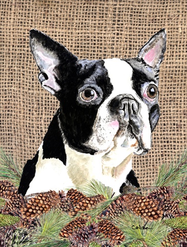 28 x 40 in. Boston Terrier Flag Canvas House Size