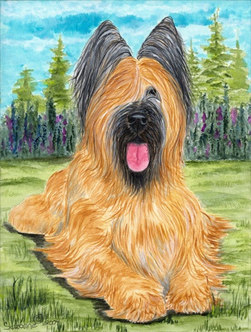 Briard Flag Garden Size