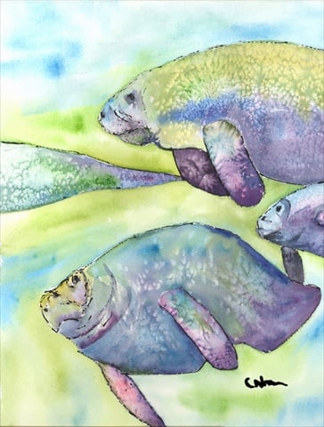 Manatee Flag Canvas House Size