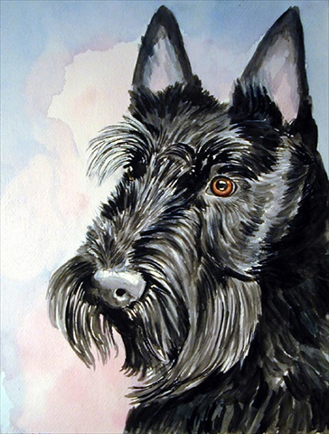 Scottish Terrier Flag Canvas House Size