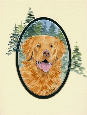 Nova Scotia Duck Toller Flag Canvas House Size