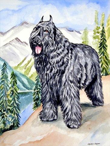 Bouvier des Flandres Flag Canvas House Size