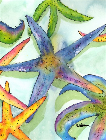 Starfish Flag Garden Size