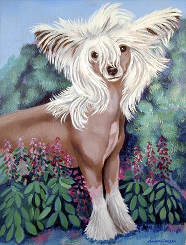 Chinese Crested in flowers Flag Canvas House Size