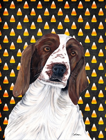 Welsh Springer Spaniel Candy Corn Halloween Portrait Flag Canvas House Size