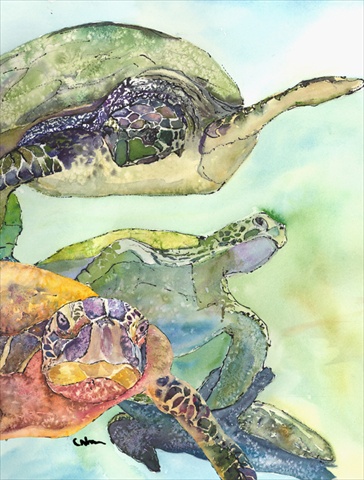 Turtle Flag Garden Size