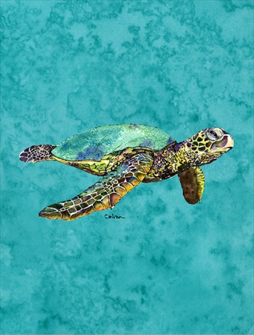Turtle Flag Canvas House Size