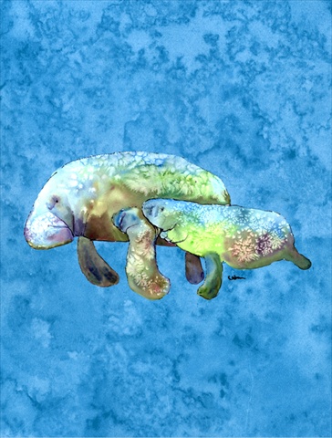 Manatee Flag Canvas House Size