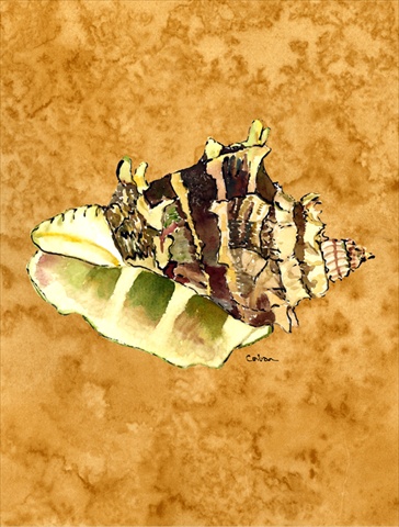 Shell Flag Canvas House Size