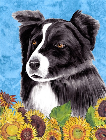 SC9071GF Border Collie Flag Garden Size