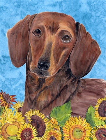Dachshund Flag Canvas House Size