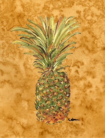 Pineapple Flag Garden Size