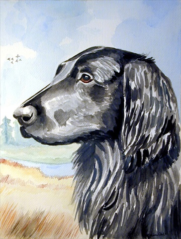 Flat Coated Retriever Flag Garden Size