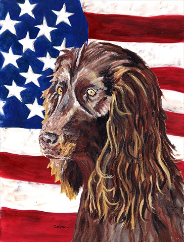 Boykin Spaniel USA American Flag Flag Garden Size