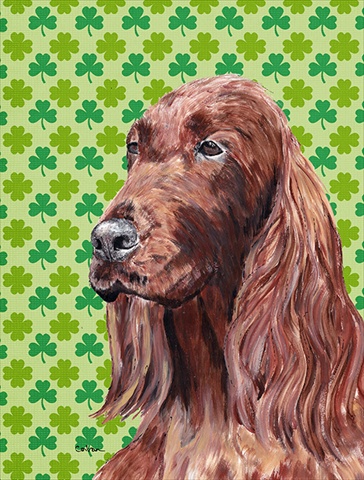 Irish Setter St Patricks Irish Flag Garden Size