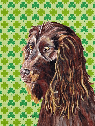 Boykin Spaniel St Patricks Irish Flag Garden Size
