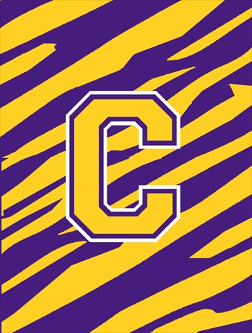 Monogram - Tiger Stripe - Purple Gold Initial C Monogram Initial Flag Garden Size