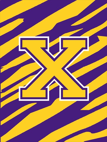 Monogram - Tiger Stripe - Purple Gold Initial X Monogram Initial Flag Garden Size