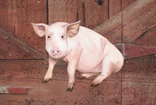 Picture of Carolines Treasures SB3072PLMT Pig At The Barn Door Fabric Placemat