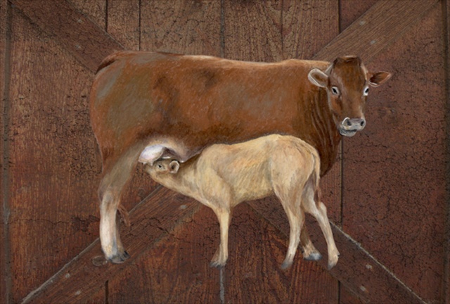 Picture of Carolines Treasures SB3074PLMT Cow Momma And Baby Fabric Placemat