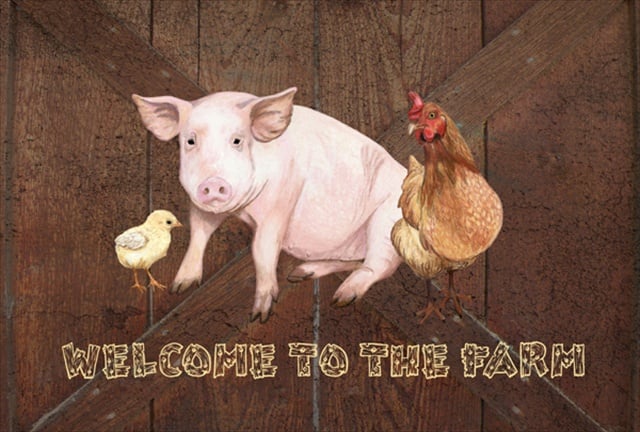 Picture of Carolines Treasures SB3083PLMT Welcome To The Farm With The Pig And Chicken Fabric Placemat