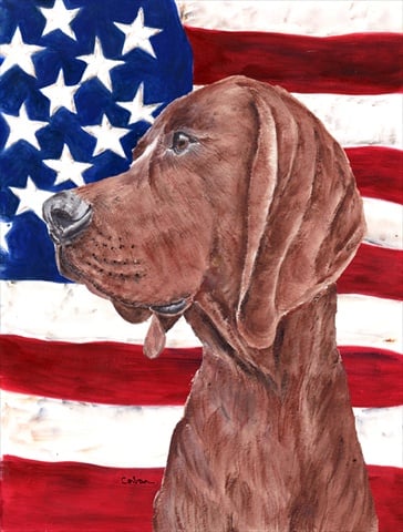 Redbone Coonhound With American Flag USA Flag Canvas House Size