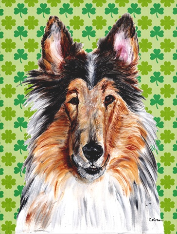 Picture of Carolines Treasures SC9718CHF Collie Lucky Shamrock St. Patricks Day Flag Canvas House Size