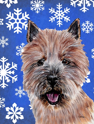 Picture of Carolines Treasures SC9782CHF Norwich Terrier Winter Snowflakes Flag Canvas House Size