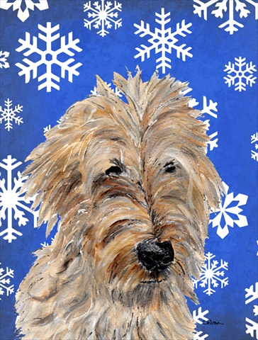 Picture of Carolines Treasures SC9787CHF Golden Doodle 2 Winter Snowflakes Flag Canvas House Size