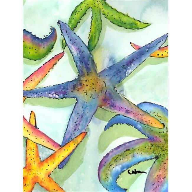 Carolines Treasures 8542GF Starfish Flag Garden Size
