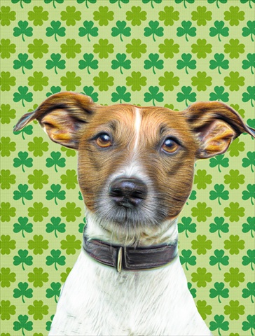 St. Patricks Day Shamrock Jack Russell Terrier Flag Garden Size