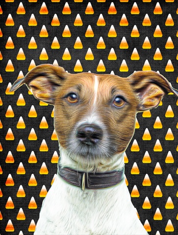Candy Corn Halloween Jack Russell Terrier Flag Garden Size