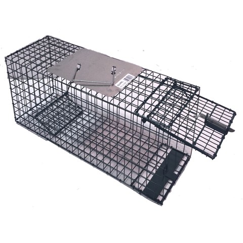 Picture of Kness Kage-All  Squirrel Live Animal Trap