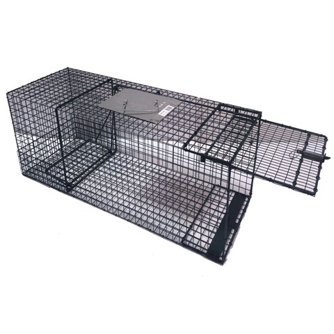 Kness Kage-All� Raccoon Live Animal Trap