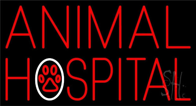 Sign Store N105-4981-clear 37 x 1 x 20 in. Animal Hospital Neon Sign - White And Red