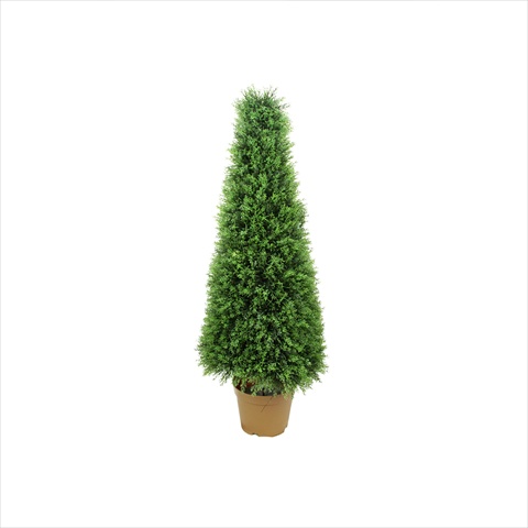 4 ft. Potted Two-Tone Artificial Cypress Tower Topiary Tree