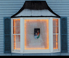 The Window Wonder For Christmas Lights - 4 Rod Pack