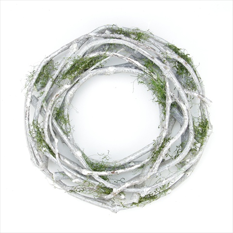 White Twig And Green Moss Artificial Wreath - Medium
