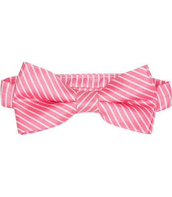 5418 BT 6 - 6 to 12 Years Bowtie - Pink & White Stripes -  Matching Tie Guy