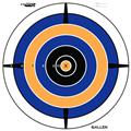 Allen 15205 12 Pack Bullseye Target Allen 15205 12 Pack Bullseye Target