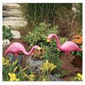 Bloem T6197 Pink Flamingo Assortment - 2 Pack Bloem T6197 Pink Flamingo Assortment - 2 Pack