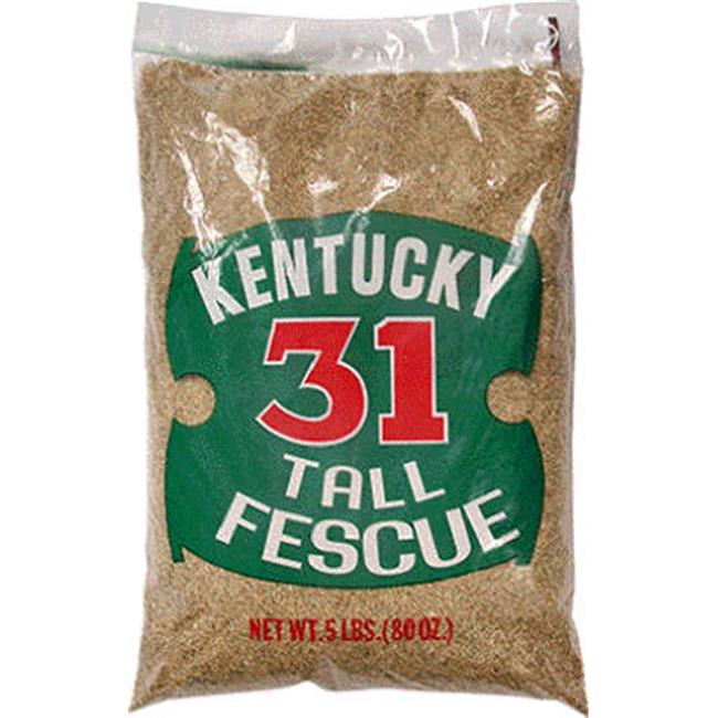 Barenbrug 16205 5 lbs. Ky-31 Grass Seed