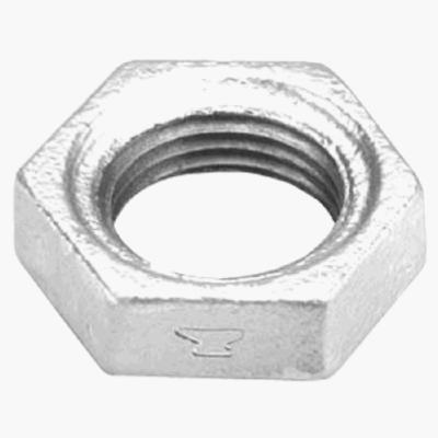 8700162756 2 in. Malleable Iron Pipe Fitting Galvanized Lock Nut