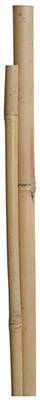 Picture of Bond Manufacturing SMG12031W 4 ft. Bamboo Stake&#44; 12 Pack