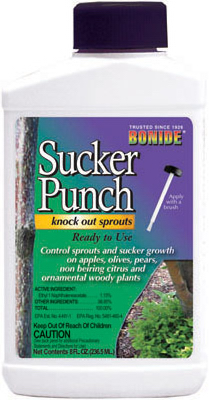 Picture of Bonide Products 276 8 oz. Ready To Use Sucker Punch Brush Top