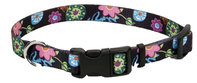 Picture of Coastal Pet 06902 A WDF26 1 in. Adjustable Nylon Fashion Flower Collar&#44; Adjusts 18-26 in