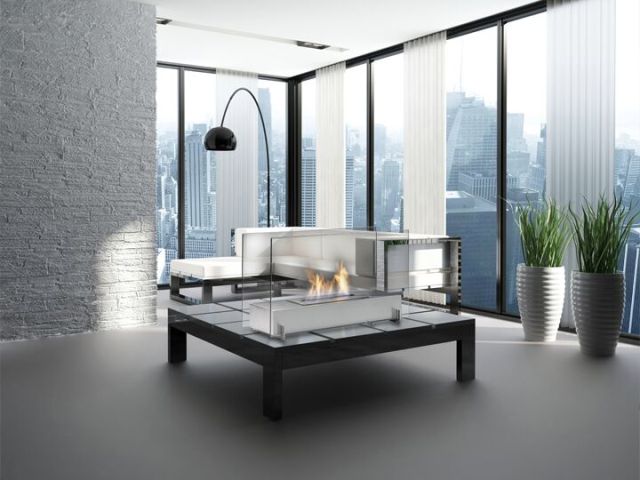 Picture of Eco-Feu WS-00095-SS Vision 2 Burner&#44; Stainless Steel