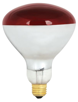 250R40-R 250W Heat Lamp, Red