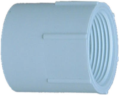 30314 1.25 in. Slip x Thread, Female Adapter, White