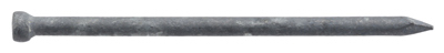 461640 2.5 in. X 10D- Galvanized Finish Nails